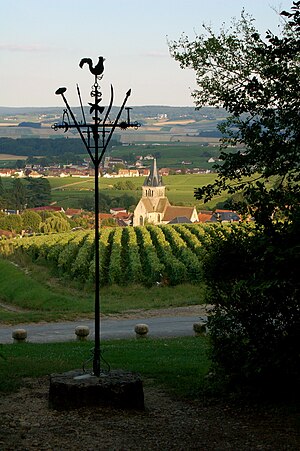 Vue de Ville-Dommange