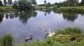 Vom Oberen Holzbach durchflossener Weiher der Sebaldmühle