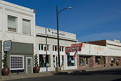 Skyline of Willows