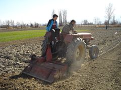 Tractor sowing on a field