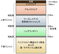 2007年12月12日 (水) 04:02時点における版のサムネイル