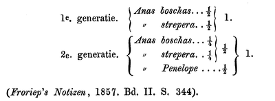 Tabel met verschillende kruisingen