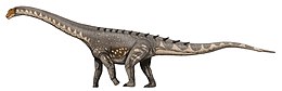 Az Ampelosaurus rekonstrukciója