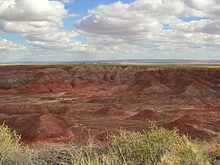 Desierto pintado.