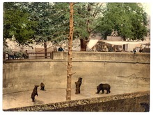 La fosse aux ours de Berne à la fin du XIXème siècle.