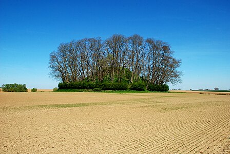 Le tumulus d'Hottomont.