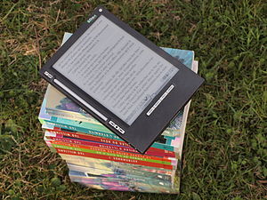 English: IRex iLiad ebook reader outdoors in s...