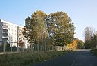 Am Sandhaus; in Höhe des Wohnblocks