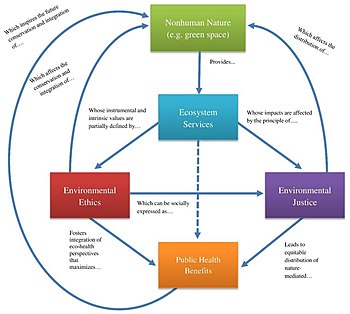 Conceptual map illustrating the connections among nonhuman nature, ecosystem services, environmental ethics, environmental justice, and public health Conceptual-map-illustrating-the-connections-among-nonhuman-nature-ecosystem-services-environmental-ethics-environmental.jpg