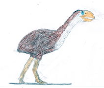 Gastornis