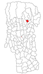 Location in Argeș County