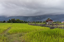 Шторм над рисовими чеками, Дон-Дет, Лаос
