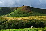 Heide-, Farn- und Weidelandschaft der North York Moors