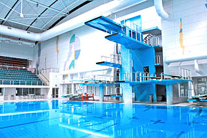 Indoor Swimming Pool with Diving Platform and ...