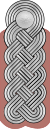 Знак отличия Вермахта Heer Major 1.svg