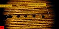 Alignement des orifices de "ventilation" sur une galerie de Limnoria quadripunctata