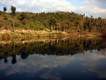 Massif des Maures dans le Var