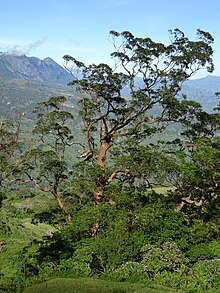 Mount Loelaco mountain landscape views (6).jpg