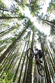 Mountain biker gets air in Mount Hood National Forest.