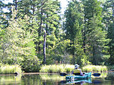 Mullica River