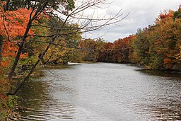 MuskegonRiverNearNewaygo.JPG