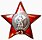 Order-of-the-Red-Star.jpg