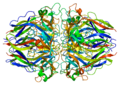 Vorschaubild der Version vom 00:43, 17. Dez. 2009