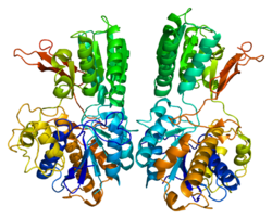 Protein GRM1 PDB 1ewk.png
