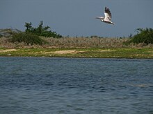 Pulicat Lake Sanctuaries