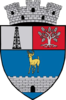 Coat of arms of Țicleni