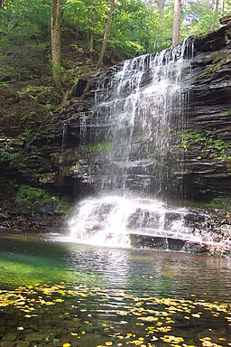 Photo of a relatively small amount of water that drops from a ledge and falls in front of layers of rock into a large pool covered with a scattering of floating green and yellow leaves. Green vegetation is visible on the rocks above and behind the falls.