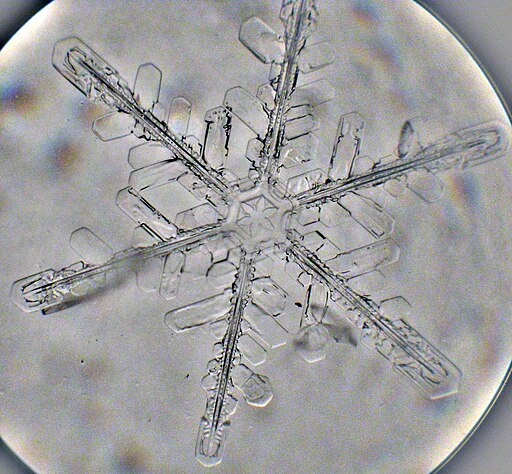 Snowflake - Microphotograph by artgeek