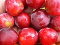 Vruchten van de hybride Prunus cerasifera × Prunus salicina, ofwel kerspruim × Japanse pruim