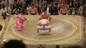 Soubor: Sumo.webm