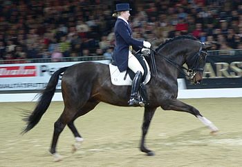 Navy shadbelly with white gloves, tall boots, ...