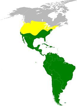 Elterjedési területe (zöld: egész évben itt tartózkodik, sárga: csak nyáron)