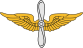 Insignia.svg авиационного отделения армии США