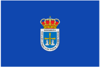Bandera de Oviedo