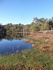 Vägetjärnens norra strandkant den 9 mars 2024.