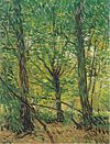 Van Gogh - Bäume und Unterholz.jpeg