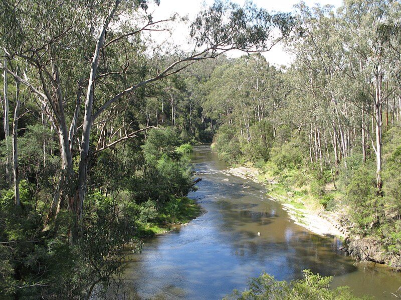 ve may bay di melbourne