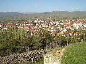 Vinica (Macédoine du Nord)