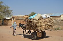 A small dark horse drawing a loaded wooden cart