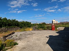 廟埕田園