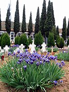 Vista interior del cementerio municipal de Torrebaja, con detalle de lirios en flor y señalizaciones en tierra (2008).