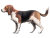 202104 Dog.svg