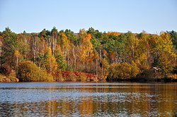 Чорні озера восени