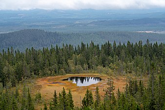 Vy mot Maltjärnen i SO från brandtornet på berget Bågaliden.