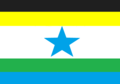 Bandeira de Nova Ipixuna