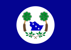 Bandeira de tabuleiro do Norte